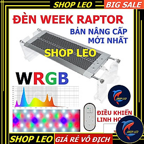 Đèn thủy sinh Week Raptor WRGB -V600 (Phiên bản nâng cấp mới nhất) - Đèn thủy sinh WRGB - Đèn hồ cá - bể cá cảnh