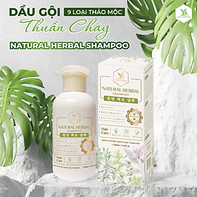 Dầu gội đầu Thảo Mộc NATURAL HERBAL SHAMPOO