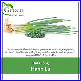 Hạt Giống Hành Lá