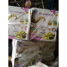 Mua HỘP MUỐI DƯA CÀ VIỆT NHẬT TIỆN DỤNG - ( sỉ )