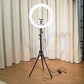 Mua Bộ Đèn Livestream 26cm Cao Cấp - Siêu Đẹp  Siêu Bền  Siêu Sáng