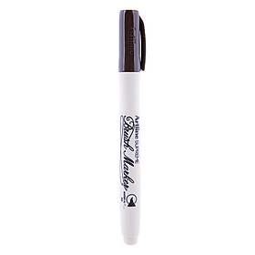 Bút Lông Kim Art Supreme Brush VEPF