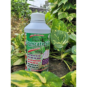 Phân bón GOMCATE SỮA chai 500ml giúp phục hồi kích thích bộ rễ, hạn chẽ nghẹn đòng