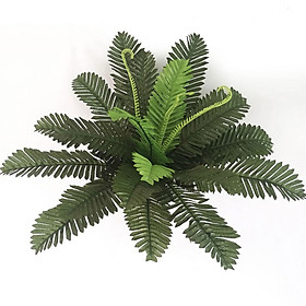 Mua Cây dương xỉ giả giống thật 99% – Đường kính 45 cm – Cây vạn tuế (dương sỉ) giả  hoa lụa decor trang trí rẻ  bền  đẹp