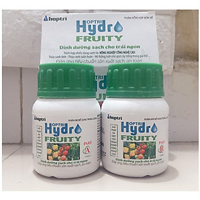 1 Hộp Hydro Fruity_DINH DƯỠNG THỦY CANH CHO RAU ĂN TRÁI