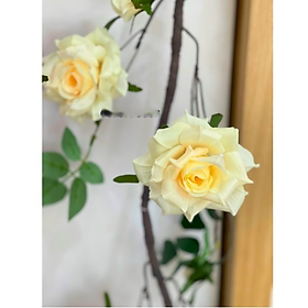 Mua Dây leo hoa hồng giả - Nhiều màu sắc - Hàng cao cấp - Cây giả  hoa lụa Decor trang trí nhà cửa