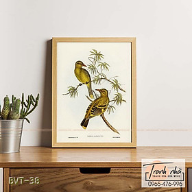 Mua Tranh canvas vintage  - Vàng anh (Oriolus flavocinctus) - BVT-38