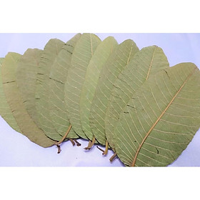 Mua Trà Lá Ổi Khô 1kg
