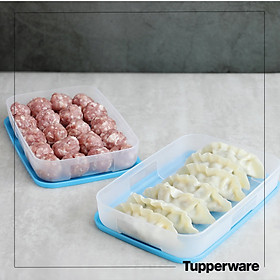 Mua Tupperware-Hộp Trữ Đông Freezermate 650ml/1.2L Thấp