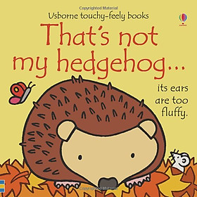 Ảnh bìa Usborne That's not my hedgehog