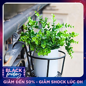 Combo 3 Giỏ Treo Chậu Hoa Ban Công Bằng Sắt