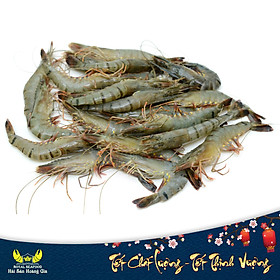 Tôm Sú Tươi Sống
