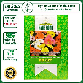 Mua Hạt Giống Hoa Cúc Đồng Tiền Nhiều Màu - Trồng Hoa Bằng Đất Sạch  Mùn Dừa  Phân Bón Hữu Cơ