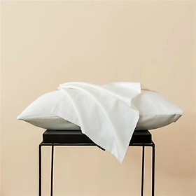 Mua COMBO 2 CHIẾC VỎ GỐI NẰM LỤA TENCEL CAO CẤP 50X70