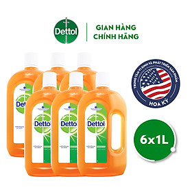 Combo 6 Dung dịch diệt khuẩn đa năng Dettol 1L