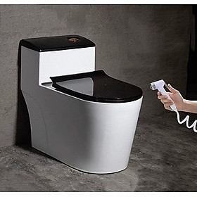 Bồn cầu 1 khối màu trắng đen kích thước nhỏ gọn thiết kế hiện đại phù hợp nhà vệ sinh nhỏ