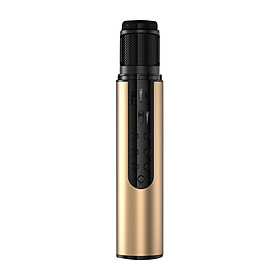 Micro Bluetooth cao cấp PKCBK1 Chính Hãng