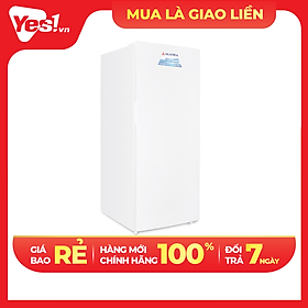 Mua Tủ đông đứng Alaska IF-39 - Hàng chính hãng - Chỉ giao HCM