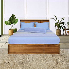 Bộ Drap Gối Tencel Thắng Lợi - Chính hãng