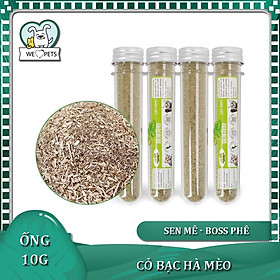 Cỏ Bạc Hà Catnip cho mèo dạng ống, Cỏ bạc hà mèo