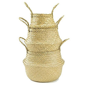 Mua Giỏ cói trồng cây /đựng quần áo/ decor tự nhiên có quai - Bị cói đựng đồ nhiều kích thước - Sedge Basket