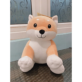 Gấu bông Shiba mập ú