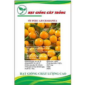 Mua Hạt giống Ớt Peru Aji Charapita giống ớt mắc nhất thể giới CT58 - Gói 3 hạt