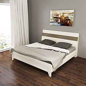 Mua Giường Ngủ Chân Cao Màu Kem Sọc Xám Hiện Đại Đẹp Gỗ Công Nghiệp MDF Cao Cấp