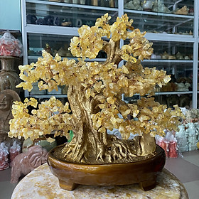 Mua Cây Tài Lộc Bonsai Phong Thuỷ Đá Thạch Anh Vàng - cao 37cm