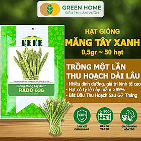 Hạt Giống Măng Tây Xanh Greenhome, Gói 0.5g~50 hạt, Dễ Trồng Quanh Năm, Nảy Mầm Cao, Thu Hoạch Nhanh, Năng Suất Cao T19 - MĂNG TÂY T19