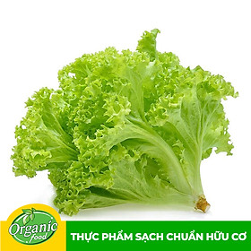 Xà lách Lô Lô xanh hữu cơ Organicfood - 250g