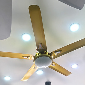 Mua Quạt Trần LG 569 Vàng - Cánh 1m42 - 3 cấp độ gió - Siêu mát