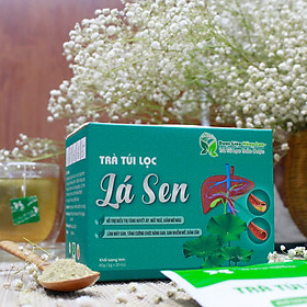 Trà Túi Lọc Lá Sen 60g (20gói x 3g) Dược Liệu Hồng Lan