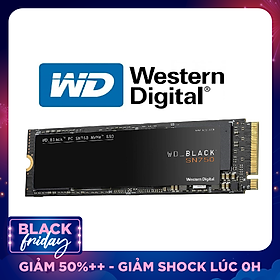 Ổ Cứng SSD WD Black SN750 1TB NVME M.2 2280 - Hàng Nhập Khẩu
