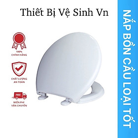 Nắp bồn cầu nhựa trắng SUNZIN HA02