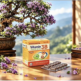 Viên uống Vitamin 3B VN1- Viphar Vinapharco, hộp 100v