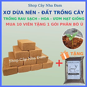 Mua Viên Nén Xơ Dừa Trồng Cây  Đất Sạch Hữu Cơ Chuyên Rau Sạch  Ươm Hạt Giống  Cây Kiểng (1 Viên)