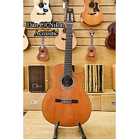 Mua Đàn guitar C# Nilon Acoustic NA-01
