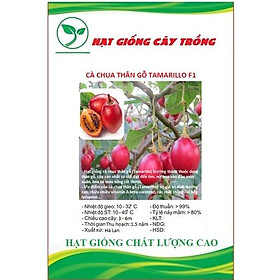 Hạt giống cà chua thân gỗ Tamarillo quả đỏ CT286 - Gói 10 hạt