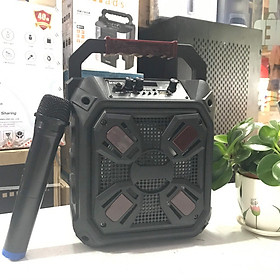 Loa karaoke MN-11C
