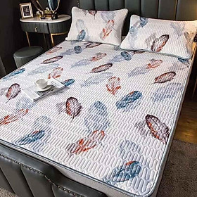 Mua Chiếu điều hoà cao su non MÁT LẠNH hàng loại 1 siêu cấp