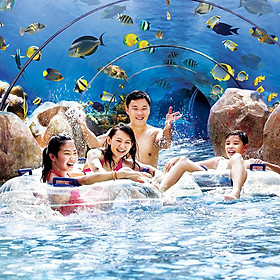 Vé Tham Quan Adventure Cove Waterpark Singapore