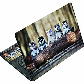 Mua Mẫu Dán Laptop Nghệ Thuật LTNT - 650