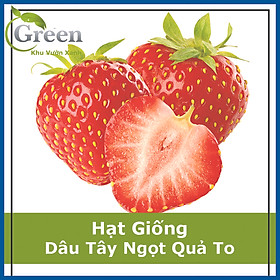 Hạt Giống Dâu Tây Ngọt Quả To Màu Đỏ