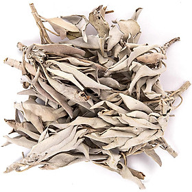 Các loại lá xô thơm xông nhà thanh tẩy không gian sống (White sage - Black sage - Rosemary - Juniper...)