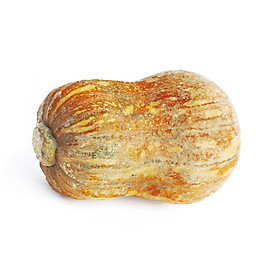 BÍ ĐỎ HỒ LÔ