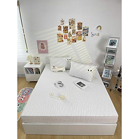 Bộ ga gối cotton đũi LIDACO họa tiết kẻ đôi mắt mềm mát ga nệm bo chun theo kích thước yêu cầu nhiều mẫu lựa chọn