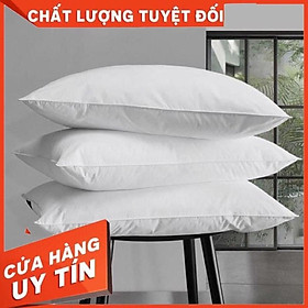 Mua Combo 02 gối nằm lông vũ nhân tạo 50x70  gối khách sạn cao cấp  hàng việt nam chất lượng cao giá cho 2 sản phẩm ruột gối