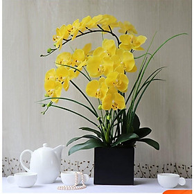 Mua Hoa giả  bình hoa lan hồ điệp đẹp giống thật để bàn trang trí nhà cửa sang trọng Flowermini LD-03