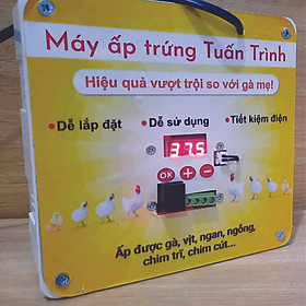 Máy ấp trứng cho gà vịt ngan ngỗng